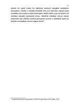 Referāts 'SIA dibināšana', 15.