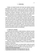 Referāts 'SIA dibināšana', 17.