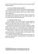 Referāts 'SIA dibināšana', 18.