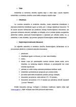 Referāts 'SIA dibināšana', 23.