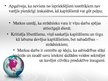 Prezentācija 'Marksisms', 7.
