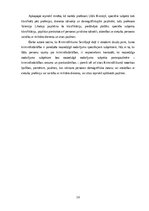 Referāts 'Noziedzīga nodarījuma subjekts', 16.