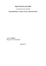 Referāts 'Stratēģijas izvēle un realizēšana a/s "DNB Nord banka"', 1.