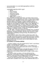 Referāts 'Stratēģijas izvēle un realizēšana a/s "DNB Nord banka"', 13.