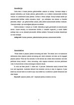 Diplomdarbs 'Fiziskās personas grāmatvedības uzskaite un nodokļi', 2.