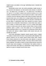 Diplomdarbs 'Fiziskās personas grāmatvedības uzskaite un nodokļi', 19.