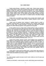 Referāts 'Praktiskais darbs runas kultūrā', 2.