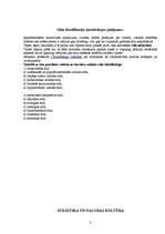 Referāts 'Praktiskais darbs runas kultūrā', 3.