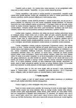 Referāts 'Praktiskais darbs runas kultūrā', 8.