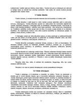 Referāts 'Praktiskais darbs runas kultūrā', 11.