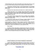 Referāts 'Praktiskais darbs runas kultūrā', 13.