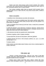 Referāts 'Praktiskais darbs runas kultūrā', 17.