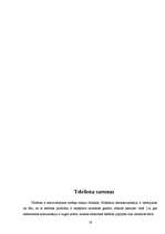 Referāts 'Praktiskais darbs runas kultūrā', 19.