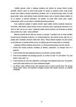 Referāts 'Praktiskais darbs runas kultūrā', 20.