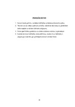 Referāts 'Iedzīvotāju labklājības izmaiņu ietekme uz produktu tirgu Latvijā un Igaunijā', 32.