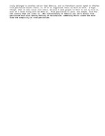 Eseja 'Patriotism in America: Common, yet Nonexistent', 2.