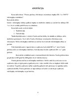 Referāts 'Finanšu pārskatu informācijas izmantošanas iespējas SIA "X" maksātspējas novērtē', 4.