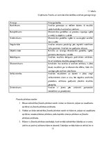 Referāts 'Finanšu pārskatu informācijas izmantošanas iespējas SIA "X" maksātspējas novērtē', 13.