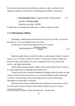 Referāts 'Finanšu pārskatu informācijas izmantošanas iespējas SIA "X" maksātspējas novērtē', 18.