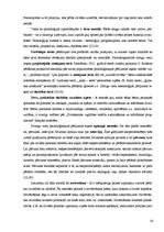 Referāts 'Pirmsskolas vecuma bērnu iztēles attīstība tēlotājdarbībā', 30.