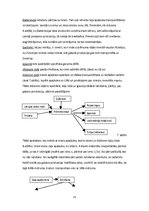 Referāts 'Resursu ierobežotība, izlietošanas alternatīvas Latvijas tautsaimniecībā', 13.