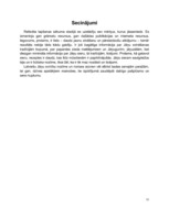 Referāts 'Jāņu siera tradīcijas', 11.