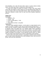 Referāts 'Jāņu siera tradīcijas', 18.