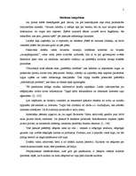 Konspekts 'Reklāmas integrēšana un reklāmas mērķi. Reklāmas stratēģijas izstrāde', 2.