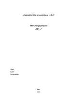 Referāts 'Маркетинговые исследования', 1.