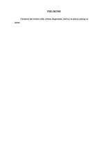 Paraugs 'Ģeogrāfiska pētījuma modelis. Latvijas iedzīvotāju emigrācija uz Rietumeiropu pē', 14.