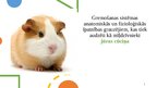 Prezentācija 'Gremošanas sistēmas anatomiskās un fizioloģiskās īpatnības grauzējiem, kas tiek ', 1.