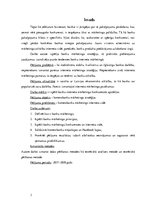 Referāts 'Komercbanku mārketings interneta vidē', 3.