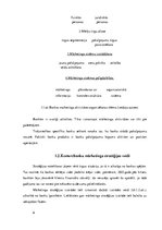 Referāts 'Komercbanku mārketings interneta vidē', 6.