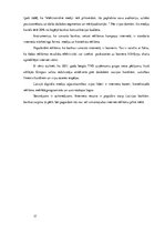 Referāts 'Komercbanku mārketings interneta vidē', 17.