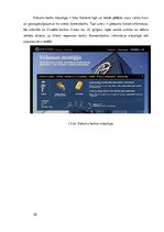 Referāts 'Komercbanku mārketings interneta vidē', 20.