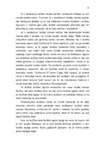 Referāts 'Likumiskā mantošana', 12.