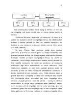 Referāts 'Likumiskā mantošana', 15.