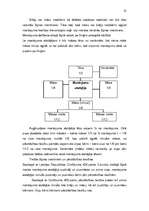 Referāts 'Likumiskā mantošana', 25.