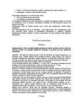 Referāts 'Vides piesārņojuma veidi', 3.