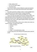 Referāts 'Asins donoru kustība Latvijā un Kuldīgas rajonā', 15.