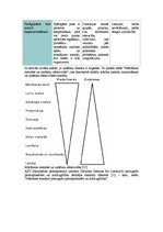 Konspekts 'Mācīšanās metodes', 2.