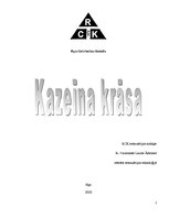 Referāts 'Kazeīna krāsa', 1.