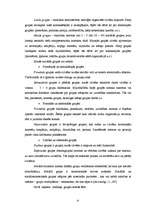 Referāts 'Grupas izpratne sociālajā psiholoģijā', 6.