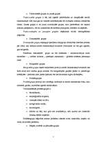 Referāts 'Grupas izpratne sociālajā psiholoģijā', 7.