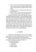 Referāts 'Grupas izpratne sociālajā psiholoģijā', 11.