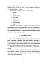 Referāts 'Grupas izpratne sociālajā psiholoģijā', 13.