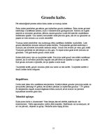 Prezentācija 'Tehnikas vienības', 15.