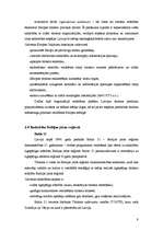 Referāts 'Valsts ekonomiskā un politiskā ietekme uz tūrismu', 9.