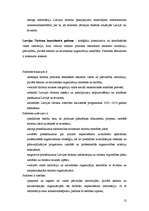 Referāts 'Valsts ekonomiskā un politiskā ietekme uz tūrismu', 12.