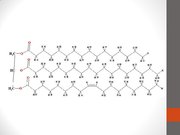 Prezentācija 'Tauki', 6.